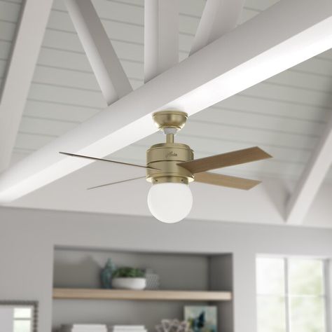 Kitchen Ceiling Fan, Bedroom Fan, Chandelier Ceiling Fan, Ceiling Fan Bedroom, Hunter Ceiling Fans, Modern Rustic Homes, Globe Light, Best Ceiling Fans, Hunter Fan