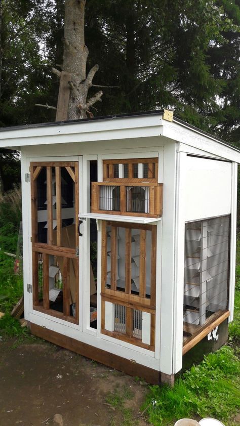 Pigeon Loft .Goran #aviariesideas Racing Pigeon Lofts, Pigeon Loft Design, Pigeon Cage, Pet Pigeon, Pigeon House, Homing Pigeons, Pigeon Loft, Loft Plan, Backyard Seating Area