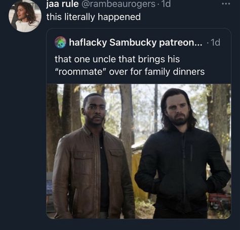 Winter Soldier Funny, Sam And Bucky, Bucky Barnes Fanfiction, Captain America And Bucky, Falcon And The Winter Soldier, Bucky Barnes Winter Soldier, The Winter Soldier, The Falcon, Marvel Films