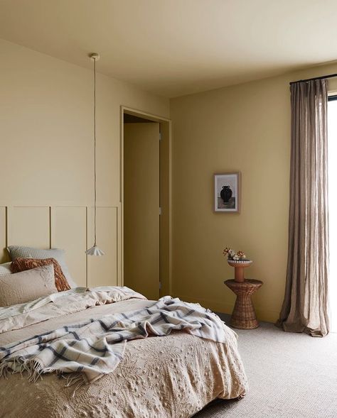 Trending Paint Colors, Color Forecasting, Colour Trends, 아파트 인테리어, Soft Yellow, Wall Color, Interior Design Bedroom, Wall Colors, Bedroom Inspirations