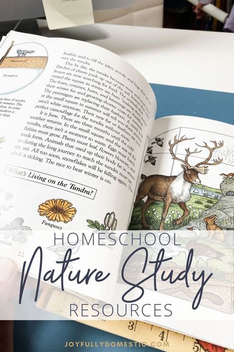 Nature study is a key piece of a Charlotte Mason education. And we often learn by observing nature that is around us. But midwest winters or other circumstances can make it a bit challenging. I’ve put together a list of our favorite nature study items to help supplement for rainy days or as an additional resource. These simple resources have become favorites of my children. And I love them too! Homeschool Group Activities, Study Items, Homeschool Nature, Homeschool Nature Study, Catholic Homeschool, Charlotte Mason Homeschool, Nature School, Study Resources, Study Journal