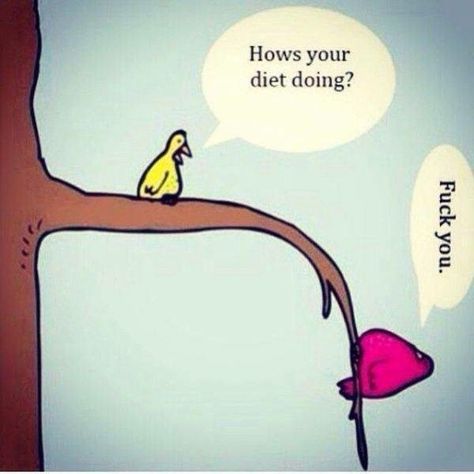 F Diet Funny, Paleo Plan, Diet Quotes, Diet Humor, Annoying People, Quotes Humor, Workout Humor, Bones Funny, The Words