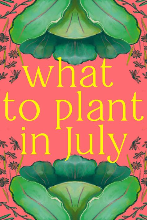 what to plant in july - vegetables for self-sufficiency Pnw Garden, Garden Guide, Sustainable Garden, Late Summer, Summer Season, Planting Seeds, Seeds, Canning, Plants