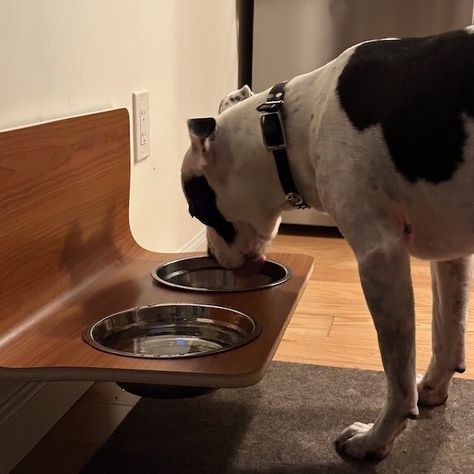 ★�★★★★ "What I like about this hanging dish besides the beauty is snug fit against the wall and the rubber around the bowl cutouts. My dog is very sensitive to movement and noise when he eats and there is neither with this dog feeder." Dog Bowl Holder, Bowl Holder, Wooden Dog, Dog Feeder, Pet Feeder, Dog Bowl, Multiple Color, My Dog, Dog Bowls