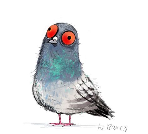 Cute Pigeon Drawing, Pigeon Cute, Pigeon Cartoon, Animation Exercise, Pigeon Drawing, Pigeon Illustration, Cute Pigeon, Cartoon Birds, Time Images