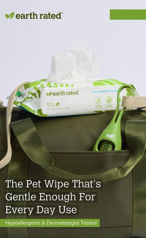 Wet Wipes Design, Dog Wipes, Pet Wipes, Wet Wipes, Wet Wipe, Deodorant, Plant Based, Every Day, Web Design