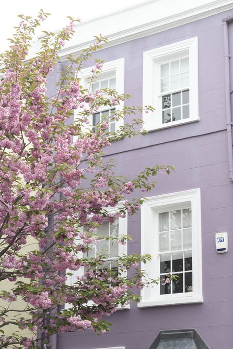 Lilac House Decor, Purple Brick House, Lilac Exterior House Paint, Lilac Architecture, Lilac House Exterior, Lilac Home Decor, Lavender House Exterior, Pastel House Exterior, Purple House Exterior