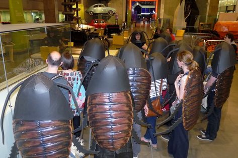 ’Roach tour | Tonight Abby, Andy and I went to Science Museu… | Flickr Insect Costume, Science Museum, Halloween Inspo, Fire Fits, Meme Template, Anime Kawaii, Point Of View, Jojo's Bizarre Adventure, Reaction Pictures