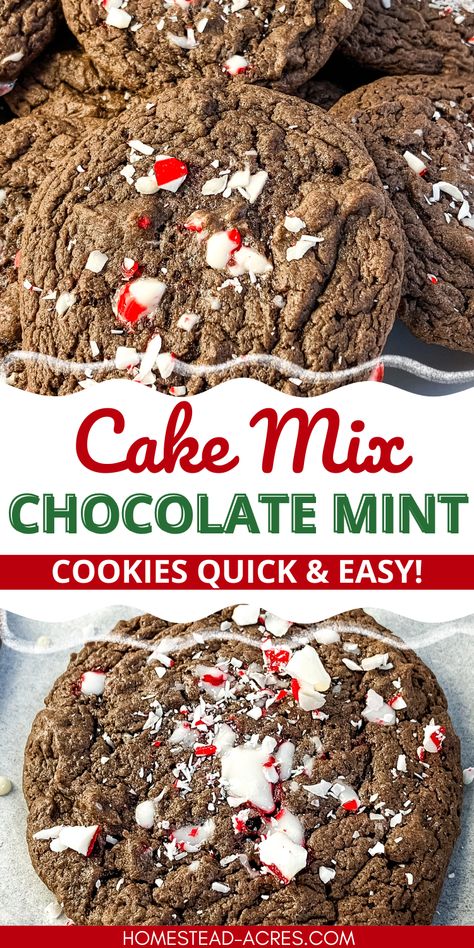 Get ready to impress with these chocolate peppermint cake mix cookies! Using a simple cake mix, these cookies offer a delicious peppermint crunch, perfect for your holiday baking. Ideal for Christmas baking recipes, these peppermint crunch cookies are a hit at cookie exchange gatherings. Try this easy cake mix cookie recipe and make delicious chocolate peppermint cookies without breaking a sweat. Perfect for fast, festive, and fun baking! Chocolate Peppermint Cake Mix Cookies, White Chocolate Peppermint Cake Mix Cookies, Jimmy Johns Chocolate Peppermint Cookie, Cake Mix Peppermint Bark Cookies, Peppermint Crunch Recipes, White Chocolate Peppermint Cake Cookies, Easy Christmas Cookies Cake Mixes, Peppermint Chocolate Crinkle Cookies, Choc Cake Mix Cookies