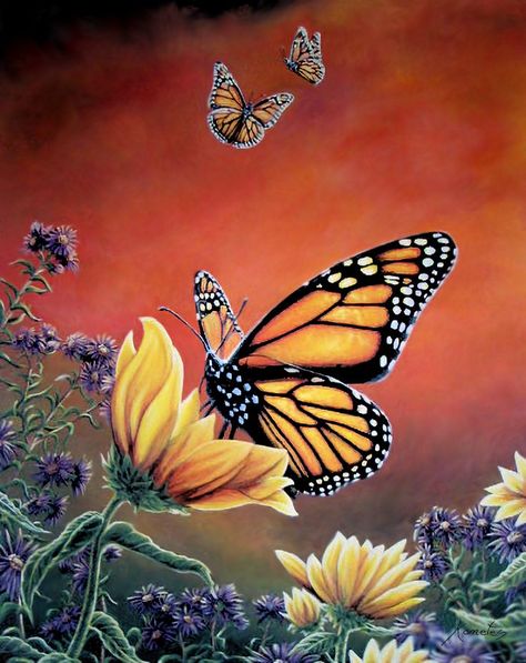 Monarch Butterfly Painting Acrylic, Monarch Butterfly Painting, Monarch Butterflies Art, Butterfly On Flower, Orange Theme, Monarch Butterflies, Muse Art, Parking Spot, Orange Butterfly