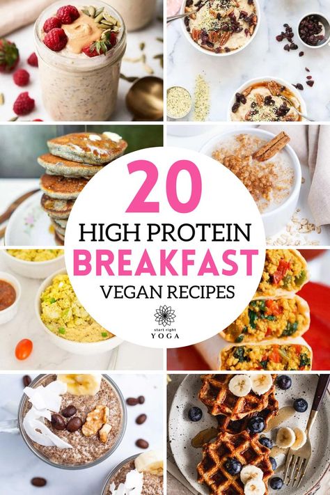 Get ready to power up your mornings with our handpicked selection of 20 high-protein vegan breakfast recipes! Each dish has been carefully chosen to not only tantalize your taste buds but also provide a whopping 10g or more of plant-powered protein per serving. We believe in fueling your day with the goodness of wholesome ingredients, Protein Vegan Breakfast, Vegan Protein Breakfast, High Protein Low Carb Breakfast, Tofu Bowls, High Protein Vegan Breakfast, Vegetarian High Protein, Vegan Breakfast Options, Vegan Breakfast Burrito, Protein Rich Breakfast