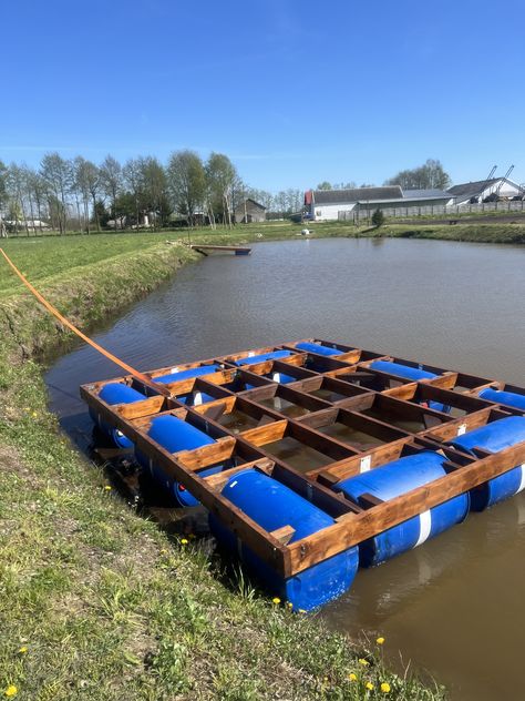 Fishing Dock Ideas, Diy Floating Dock, Floating Dock Plans, Lake Landscaping, Pontoon Dock, Floating Raft, Floating Boat, Pond Maintenance, Fishing Dock