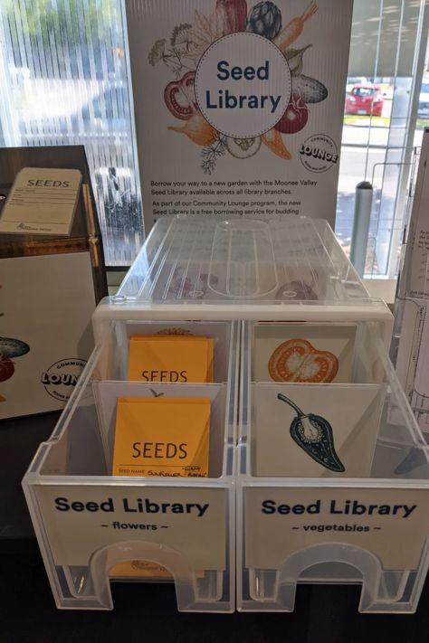 Seed Library Display, Seed Library Ideas, Seed Library, Seed Exchange, Guerrilla Gardening, Seed Storage, Library Display, Display Boards, Popular Flowers