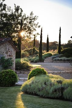 Mediterranean Garden Design, Tuscan Garden, Mediterranean Landscaping, Aesthetic Garden, Umbria Italy, Sun Setting, Garden Aesthetic, Stone Garden, Italian Garden