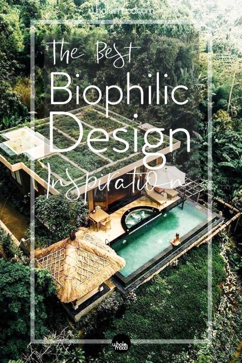 Eco Resort Architecture, Sustainable Development Design, Biophilic Interior, Biophilic Architecture, Sustainable Architecture Design, Sustainable House Design, Eco House Design, Ecological House, Sustainable Interior Design