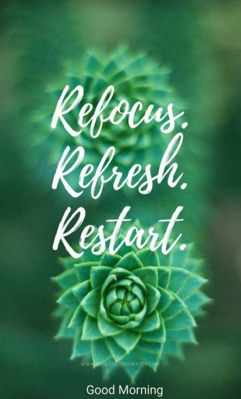 Refocus Quotes, Refresh Quotes, My Life Quotes, Massage Quotes, Healthy Body Weight, To Move Forward, Fresh Start, Life Motivation, Rose Color