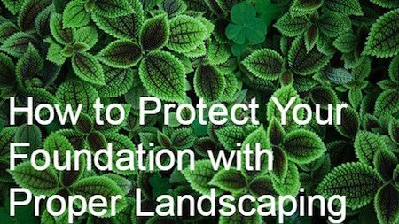 Landscaping By House Foundation, Plants Near House Foundation, How To Protect House Foundation, Landscaping Next To House Foundation, Home Foundation, Potted Plants Patio, Landscaping Around House, Mafia 2, Deep Foundation