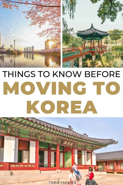 19 Things You NEED To Know Before Moving to South Korea (2022) Move To Korea, Moving To South Korea, Moving To Korea, Travel Korea, Living In Korea, Teaching English Abroad, South Korea Travel, Jeju Island, Korea Travel