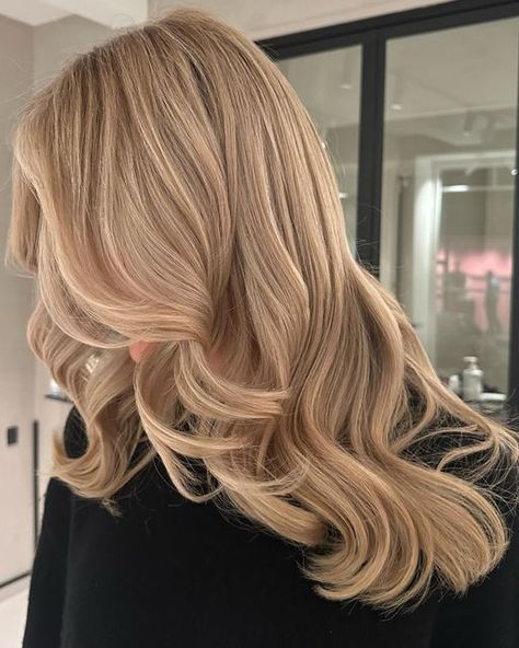 Beige Toned Blonde Hair, Hair Toner Colors, Light Warm Blonde Hair, Warm Blonde Hair Color Honey, Sandy Blonde Hair, Warm Blonde Hair, Beige Blonde Hair, Summer Blonde Hair, Summer Blonde