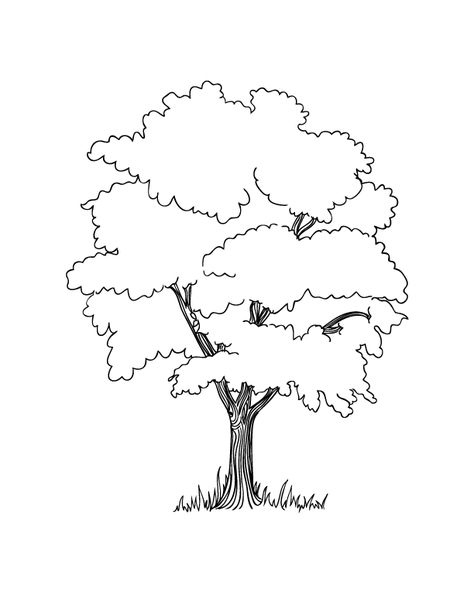 This FREE printable tree coloring page is perfect for all seasons and Earth Day too. Tree Coloring, A Tree, Coloring Page, Coloring Pages, Birds, Black And White, White, Black, Colouring Pages