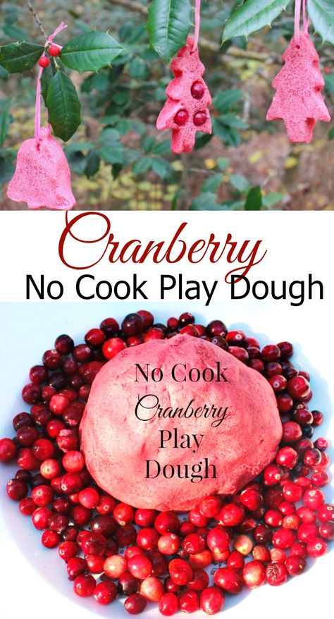 Easy Homemade Christmas No Cook Cranberry Play Dough, natural sensory play, Winter Sensory Play, Homemade dough, Perfect!  www.naturalbeachliving.com Play Dough Ornaments, Playdough Homemade, Cooked Playdough, Cranberry Sauce Thanksgiving, Winter Sensory, Christmas Sensory, Cranberry Thanksgiving, Christmas Cranberry, Sensory Dough