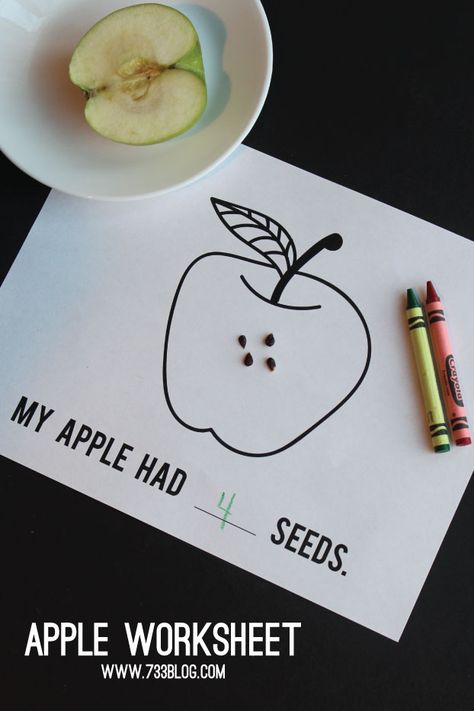 Apple Worksheet, Apple Unit Study, Class Tree, Apple Ideas, September Crafts, Fruit Crafts, Apple Unit, Activity Worksheet, Apple Activities