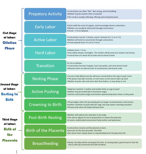 Phases of Labor Labor Phases, Labor Stages, Maternal Nursing, Phases Of Labor, Labor Prep, Normal Birth, Newborn Advice, Birth Worker, Midwifery Student