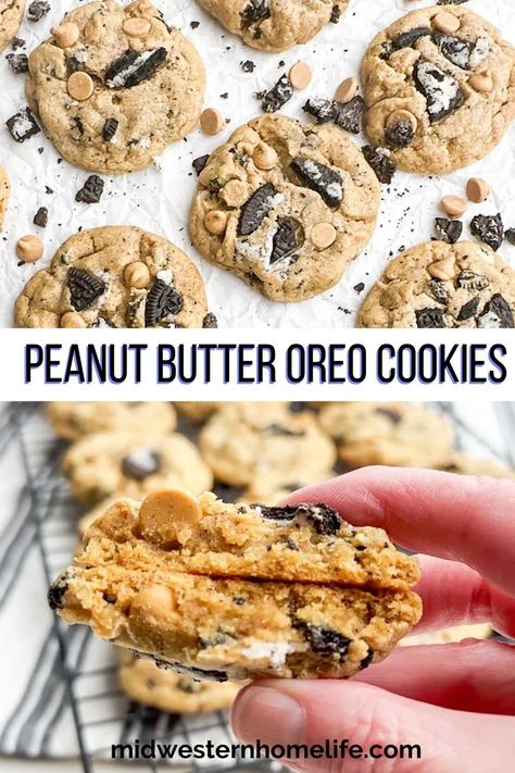 Peanut Butter Oreo Cookies are perfectly soft and chewy peanut butter cookies stuffed with Oreos, creamy peanut butter, and peanut butter chips. Easy one bowl cookie recipe and the perfect cookies for peanut butter and Oreo lovers! Oreo Cookie Recipes, Skippy Peanut Butter, Cookies Stuffed, Chocolate Dipped Cookies, Perfect Cookies, Peanut Butter Oreo, Best Cookies Ever, Chewy Peanut Butter Cookies, Chocolate Peanut Butter Cookies