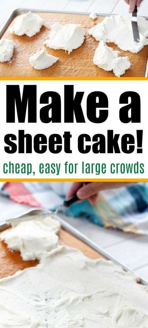 1/2 sheet cake recipe can use any homemade batter you like or choose boxed cake mix if you want a quick treat to serve a crowd! #sheetcake #chocolatesheetcake #pumpkinsheetcake Cake Mix Sheet Cake Recipes, Sheet Pan Cakes For A Crowd, Sheet Cake Recipes 12x18, Cake For 20 People, Diy Sheet Cake, 9x13 Cake Decorating Ideas, Sheet Birthday Cakes, Easy Sheet Cake Decorating Ideas, Full Sheet Cake Designs