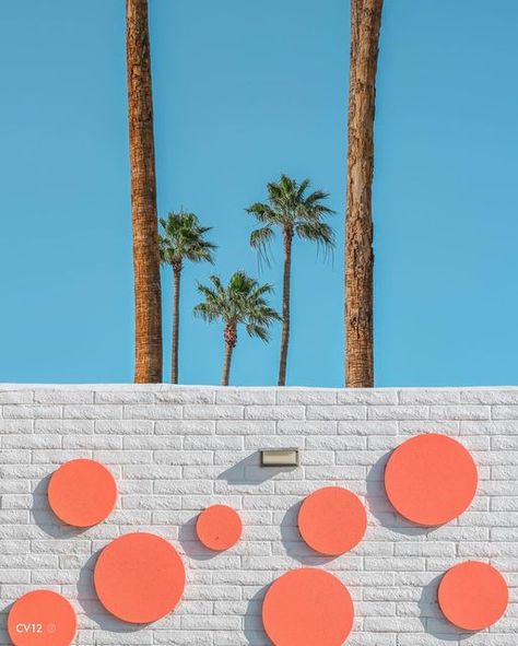 Retro Palm Springs Aesthetic, Vintage Palm Springs Aesthetic, Palm Springs Color Palette, Palm Springs Interior Design, Palm Springs Design, Palm Springs Interior, Graf Lantz, Vintage Palm Springs, Palm Springs Aesthetic