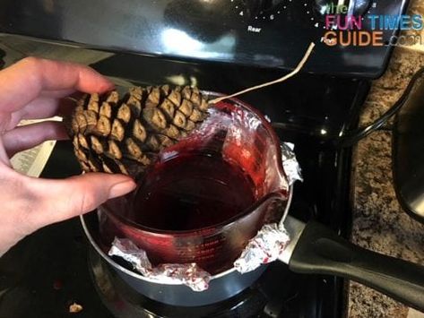 Pine Cone Fire Starters, Candle Wick, Old Candles, Cones Crafts, Pine Cone Crafts, Fire Starters, Pine Cone, Pine Cones, Campfire