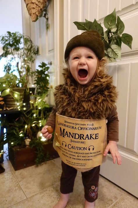 Mandrake Baby Costume, Diy Dobby Costume, Toddler Harry Potter Costume, Mandrake Costume, Harry Potter Family Costumes, Fluffy Harry Potter, Harry Potter Dog Costume, Baby Harry Potter Costume, Dobby Costume