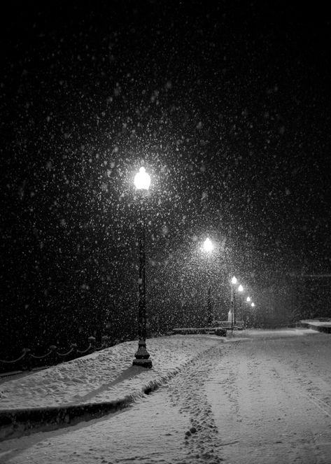 This pic was taken on a snowy, lamp-lit night in December in a sleepy little river town.  As the snow fell, streets cleared.  All but the lights of lamps.  Beautiful. This listing is for a 5X7 print on premium quality, archival paper with a matte finish. Can also be mounted to wood, canvas, metal print or made in to greeting cards! Will be signed by me and shipped in a sturdy photo mailer to ensure it's safe arrival to you. You can also order other sizes!  {Please contact me for more info!}