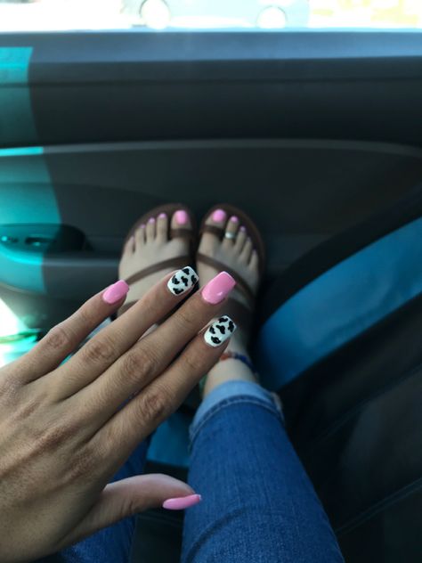 Pink Cow Nails Short, Pink And Cow Print Nails, Hot Pink Cow Print Nails, Pink Cowprint Nails, Pastel Pink Cow Print Nails, Cow Theme Nails Pink, Pink Black And White Cow Print Nails, Bright Pink Cow Print Nails, Pink Cow Print Nails