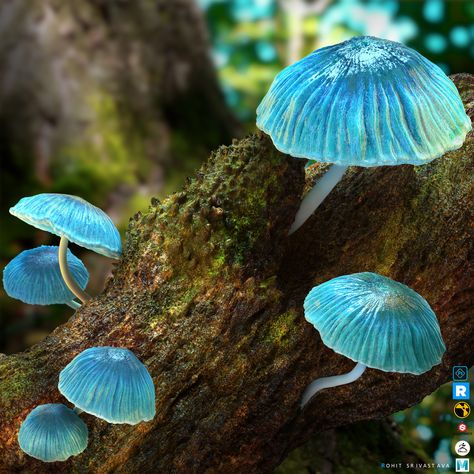 Mushrooms Pretty, Pretty Mushrooms, Blue Mushrooms, Blue Mushroom, Mushroom Images, Mushroom Plant, Mushroom Pictures, Mushroom Crafts, Mushroom Drawing