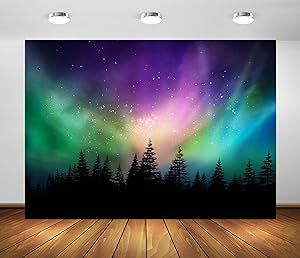 Northern Lights Decorations, Lights Backdrop, Night Sky Background, Homecoming Themes, Canadian Forest, Polar Lights, Scene Setters, Forest Backdrops, Vbs Themes