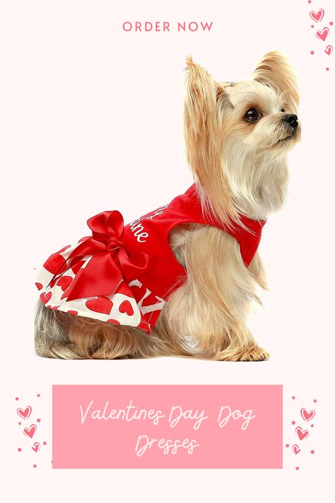 Valentines Day Dog Dresses Puppy Party Costumes Doggie Shirts Cat Outfits Red. #vday #valentinesday #doglover #dogdresses #ad #puppycostumes #doggie #dogwearvday #bemyvalentine #dogs #petsupplies Cupcake Dog, Cat Outfits, Pets Clothes, Animal Dress Up, Cherry Cupcakes, Dog Summer, Valentines Day Dog, Party Costumes, Dog Photoshoot