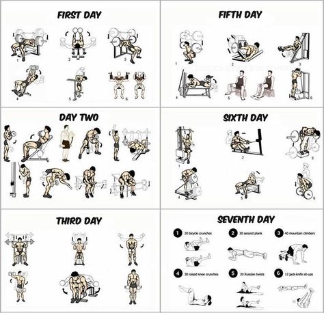 1- This Insanity Workout Calendar takes 6 days and each day is dedicated for one group of muscles. They are divided as the following:chest musclesThe first dayhands musclesDay Twoshoulder musclesThird dayfor little Full Week Workout Plan, Ab Fitness, Week Workout Plan, 7 Day Workout Plan, Strenght Training, 7 Day Workout, Workout Morning, Gym Program, Workout Fat Burning