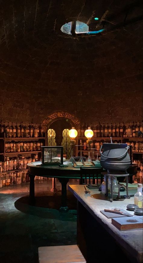 Hogwarts Potions, Potion Shop Aesthetic, Potions Lab, Hogwarts Dungeon Aesthetic, Potions Aesthetic, Snapes Potion Room, Hogwarts Ambience, Harry Potter Great Hall Aesthetic, Gothic Architecture Drawing