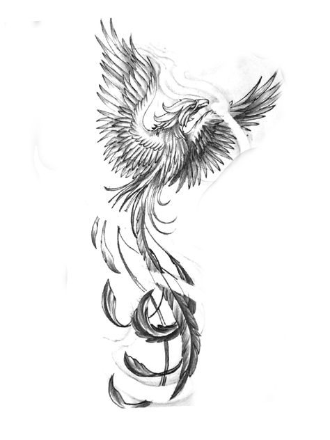 Feather With Birds Tattoo, Animal Tattoo Ideas, Compass Tattoo Design, Tattoo Zeichnungen, Beautiful Wallpapers Backgrounds, Favorite Animal, Birds Tattoo, Wallpapers Backgrounds, Dragon Tattoo