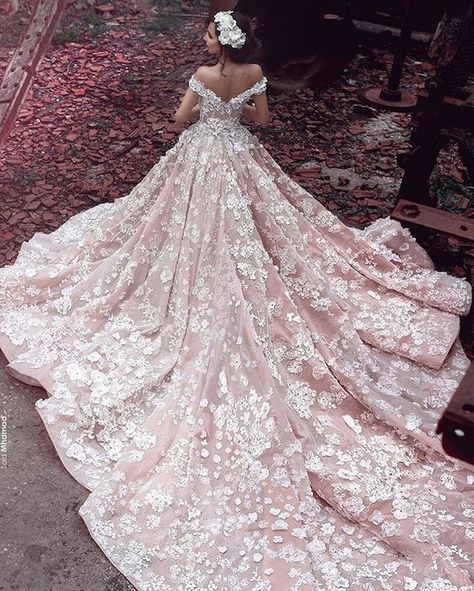 Grand & Romantic: 12 Wedding Dresses With Dramatic Trains Wedding Dresses Blush, Organza Wedding, Pink Wedding Dress, Applique Wedding, Applique Wedding Dress, A Wedding Dress, فستان سهرة, Beauty Dress, Long Bridesmaid Dresses