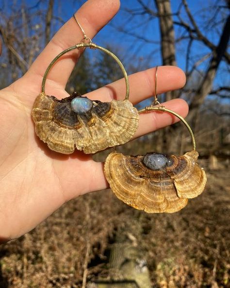 Diy Cottagecore Accessories, Turkeytail Mushrooms, Nature Jewelry Diy, Mushroom Accessories, Turkey Tail Mushrooms, Turkey Tail Mushroom, Turkey Tail, Mushroom Jewelry, Clothing Crafts