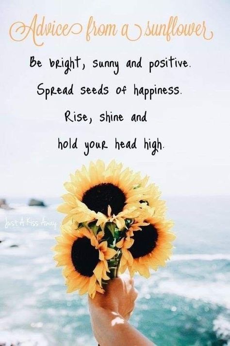 Sunflower Sayings, Act Of Kindness Quotes, Computer Images, Sunny Flowers, Dance Pics, Sunflower Quotes, Sunflowers And Daisies, Outing Quotes, Sunflower Photo