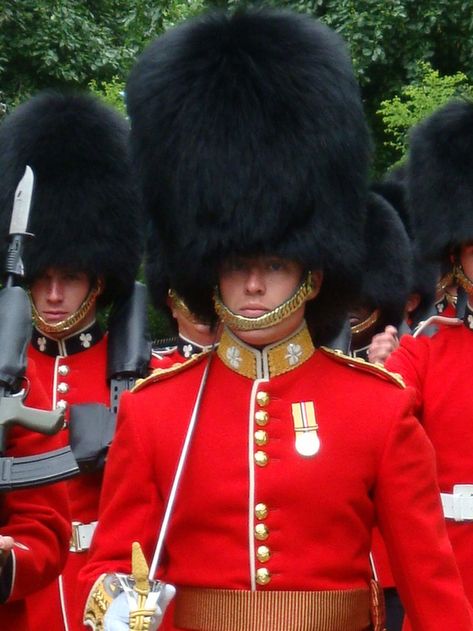 Irish Guards Uniform, British Monarchy History, Male Uniform, British Guard, Irish Guards, Household Cavalry, Royal Guards, Historical London, Coldstream Guards