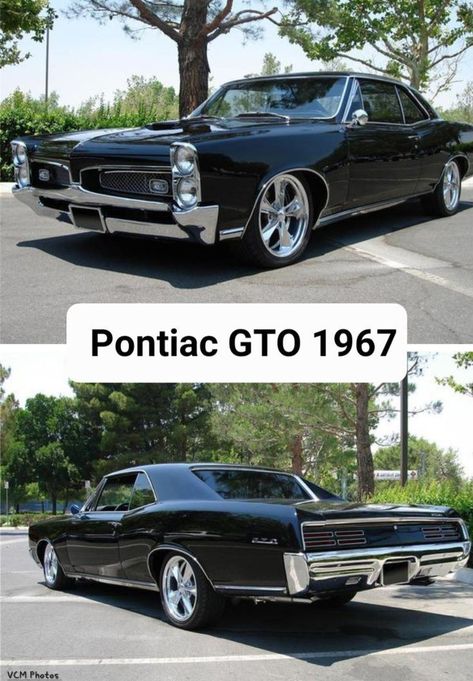 #Pontiac GTO(1967) 67 Pontiac Gto, 1967 Gto, 67 Gto, Classic Cars Chevy, Old Muscle Cars, Old School Cars, Pontiac Gto, American Muscle Cars, Classic Cars Trucks