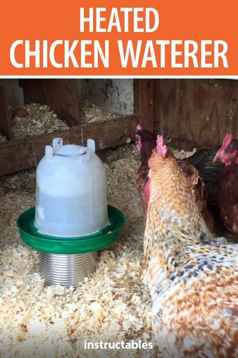 How To Heat Chicken Coop, Chicken Brooding Box Ideas, Heated Water For Chickens, Winter Chickens, Homestead Management, Heated Chicken Waterer, Duck Waterer, Chicken Coop Winter, Farm Life Aesthetic