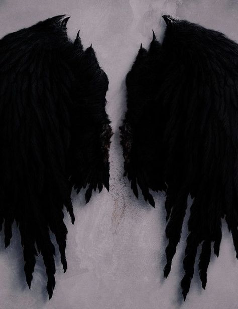 Black Swan Animal, Dark Angelcore Aesthetic, Dark Angelcore, Bryce Hunt, It Aesthetic, Boho Beach Wedding, Angel Aesthetic, Modern Disney, City Vibe