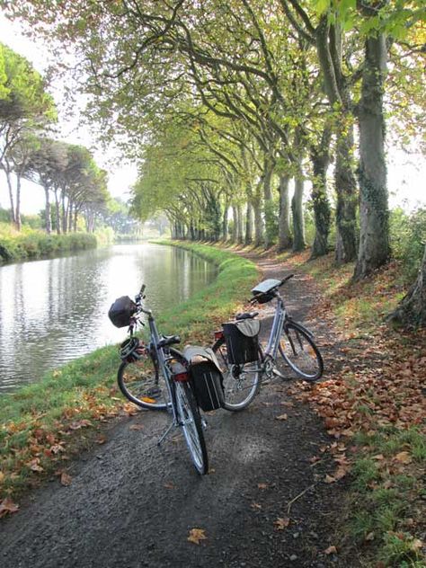 A report on cycling the Canal du Midi and the state of the towpath as of October 2015.  - Freewheeling France Canal Du Midi France, Cycling Countryside, Ola Core, Adventurer Aesthetic, Cycling In London, Canal Du Midi, 2023 Vision, Bike Trips, 10 Year Anniversary