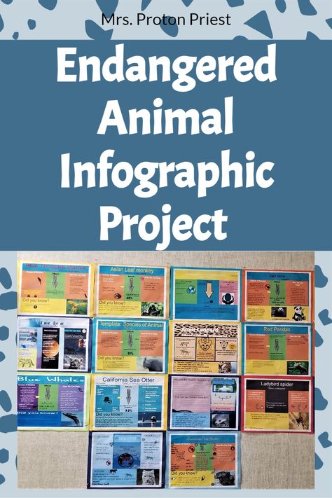 Endangered Animals Infographic, Endangered Animals Lessons, Endangered Animals Poster, Endangered Species Activities, Endangered Animals Activities, Endangered Species Project, Endangered Animals Project, Animal Fact File, Endangered Species Art