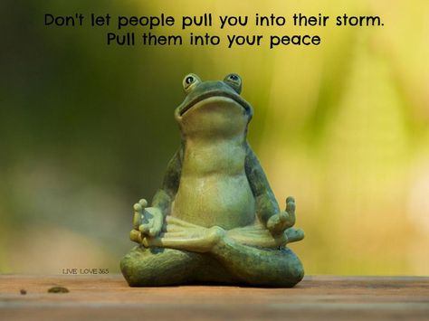 Don't let people pull you into their storm. Pull them into your peace! What Is Zen, Zen Wallpaper, News Web Design, Happy Week, Ways To Be Happier, Zen Meditation, A Frog, Joy Of Life, Web Design Company